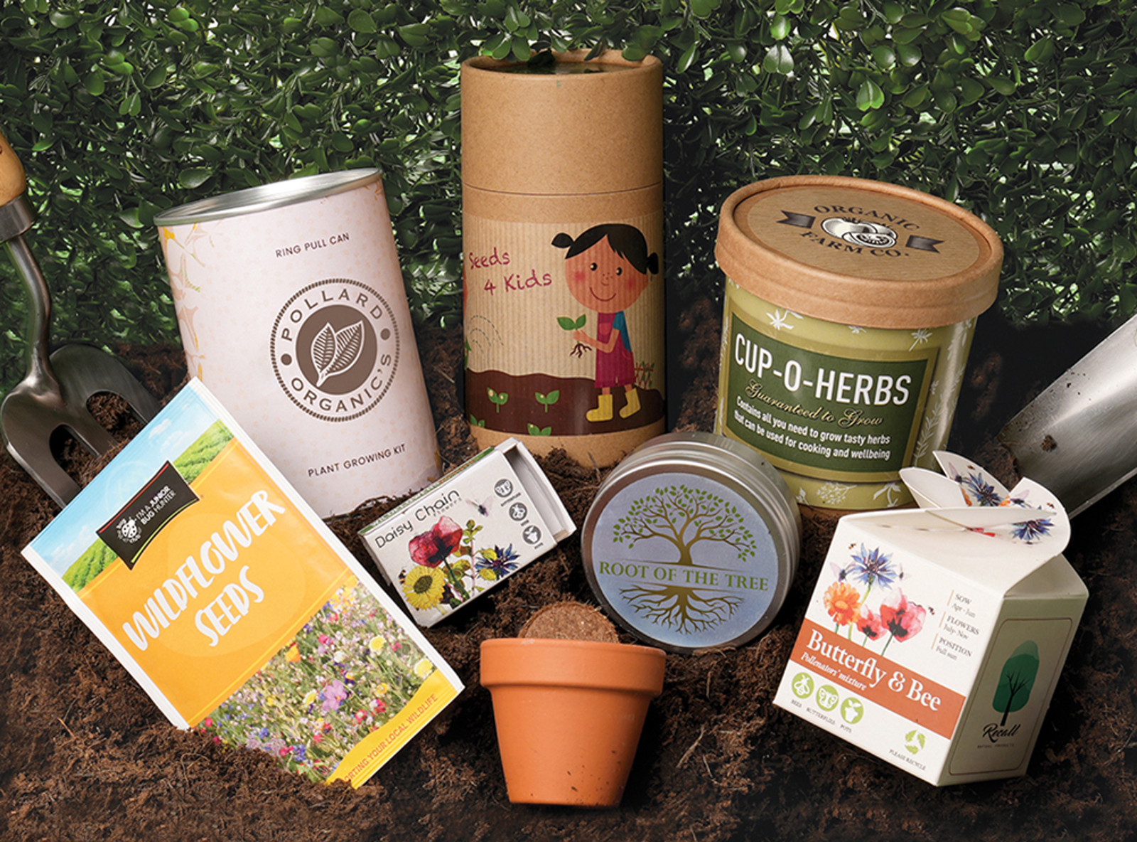 SEED LIFE PIC ESHOT.jpg